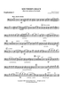 Southern Grace (Dixie, the Anthem of the South) - Euphonium 2