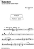Maghen David - Tenor/Bass Trombone