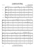 Larghetto and Allegro Op. 6 No. 3 - Full Score