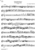 Concerto No. 3 G Major, KV216 - Violin