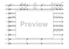 Bass Clarinet Double Concerto - Score
