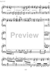 Essays on the forgotten Rhythms Op.28