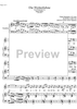 Die Wetterfahne Op.89 No. 2 D911