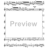 Suzuki Violin School, Volume 6 - Violin Part