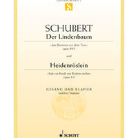 Der Lindenbaum / Heidenröslein E major