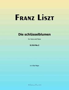 Die schlusselblumen