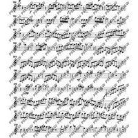 Concertante - Set of Parts