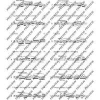 12 Etudes-Caprices caractéristiques