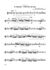 Dancin' Into The '20s: IV. Hunkatin - A Half Tone One-Step - Piccolo/Flute