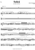 Soleá - Flute