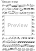 Cadenza Concerto RV208 Grosso Mogul 1st and 3rd movement - Violin