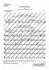 Carmina Burana - Double Bass