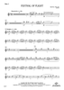 Festival of Flight - Flute 2