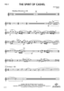 The Spirit of Cashel - Flute 2