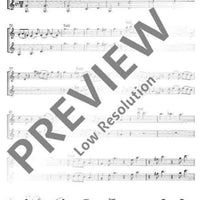 Concerto grosso G Minor - Violin I Solo/rip.