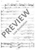 Concerto Grosso - Violin/Double Bass