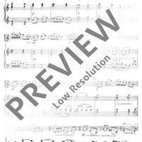 Concertino classico D major - Score