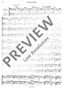 Concerto Grosso - Cello/double Bass