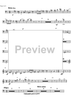 Divertimento - Bass Clarinet