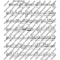 Désespoir in C minor