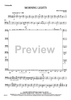 Morning Lights - Cello