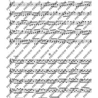 Concerto E Minor - Set of Parts