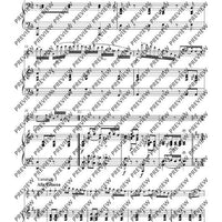 Variationen über „Nel cor più non mi sento“