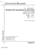 Kommt dir manchmal in den Sinn Op.103 No. 7