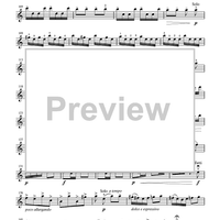 Suzuki Violin School, Volume 4 - Violin Part