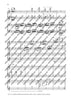 Lisztomania
