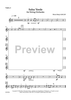 Salsa Verde for String Orchestra - Violin 2