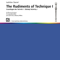 The Rudiments of Technique