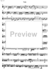 Jubilee Concerto for Celeia - Viola