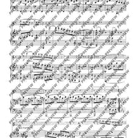 Grand Duo concertant