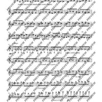 The Flute Expedition