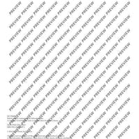 Irish Folk Tunes for Descant Recorder