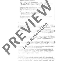 The Modern Recorder Player