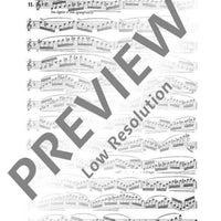 25 Romantische Etüden