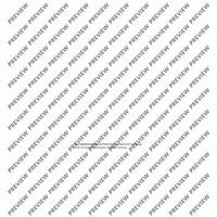 El Cimarrón - Performing Score