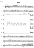 Messe solennele breve - Flute 1/2