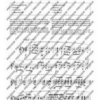 100 Classical and Romantical Études