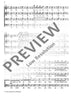Hat mein Lieb ein Schlehlein - Choral Score