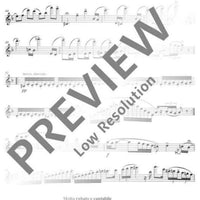 3 virtuoso Flamenco Studies