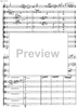 Contrabbasso concertante - Score
