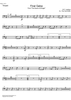 Final Galop from the Guard of Amager - Timpani