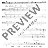 Rosen aus dem Süden - Bass I