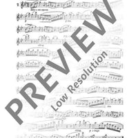 25 Romantische Etüden