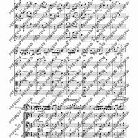 Concertino classico D major - Score