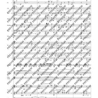 Double Concerto - Full Score