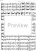 Contrabbasso concertante - Viola